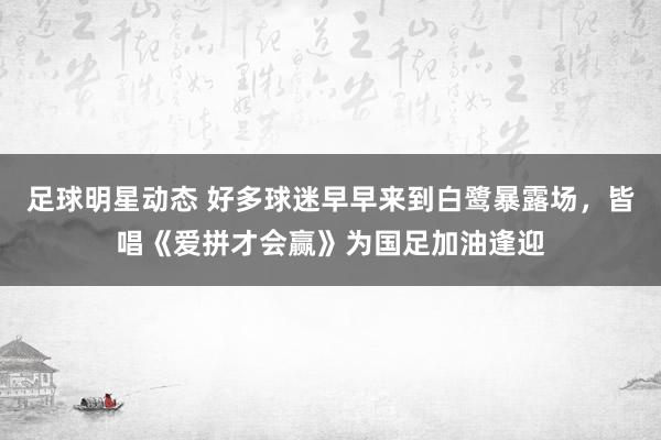 足球明星动态 好多球迷早早来到白鹭暴露场，皆唱《爱拼才会赢》为国足加油逢迎