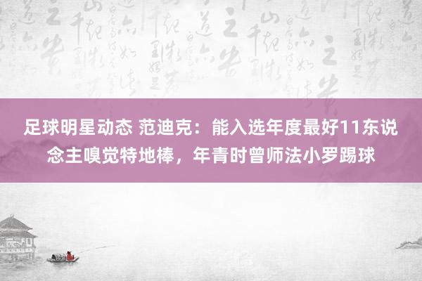 足球明星动态 范迪克：能入选年度最好11东说念主嗅觉特地棒，年青时曾师法小罗踢球