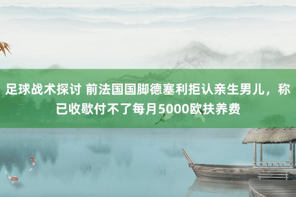 足球战术探讨 前法国国脚德塞利拒认亲生男儿，称已收歇付不了每月5000欧扶养费