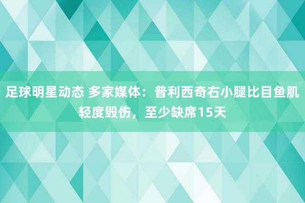 足球明星动态 多家媒体：普利西奇右小腿比目鱼肌轻度毁伤，至少缺席15天